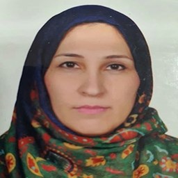 Dr. Vajihe Faghani