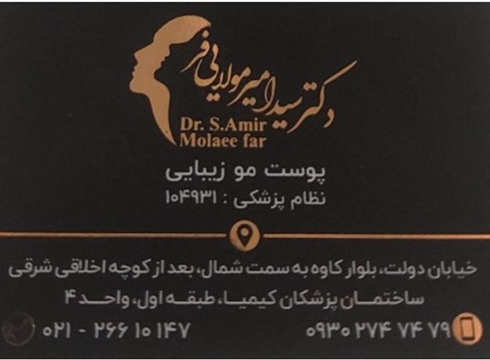 Dr. Seyed Amir Molaeefar